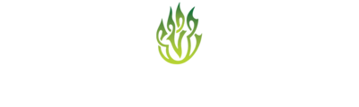Green Fire Irish Dancers Web Store
