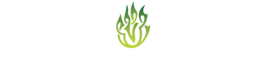 Green Fire Irish Dancers Web Store
