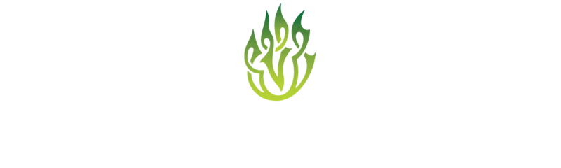 Green Fire Irish Dancers Web Store